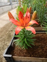 [5024 Matrix No02.JPG]